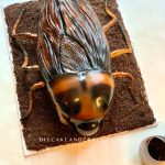 Cockroach cake DIY Cake and Crafts